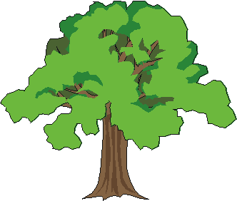 Der Baum